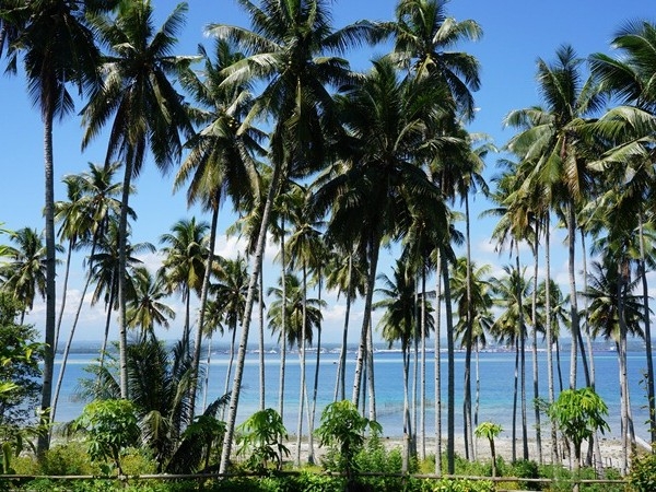 Philippines 14