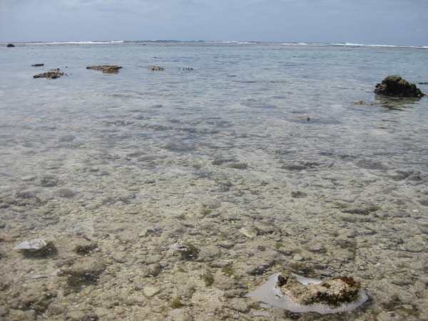 vavau-tonga-070